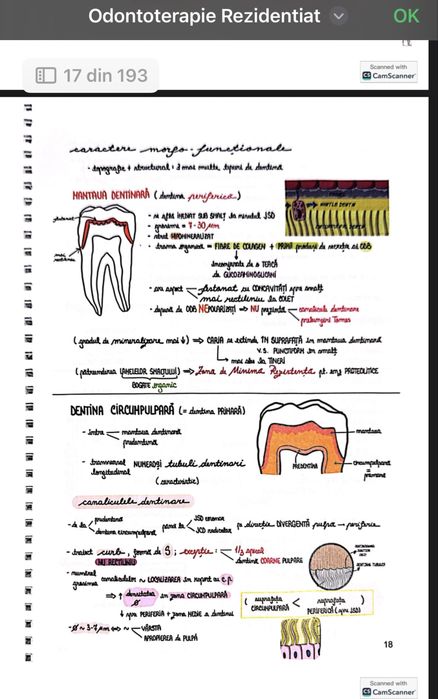 Sinteze Rezidențiat Medicină dentară