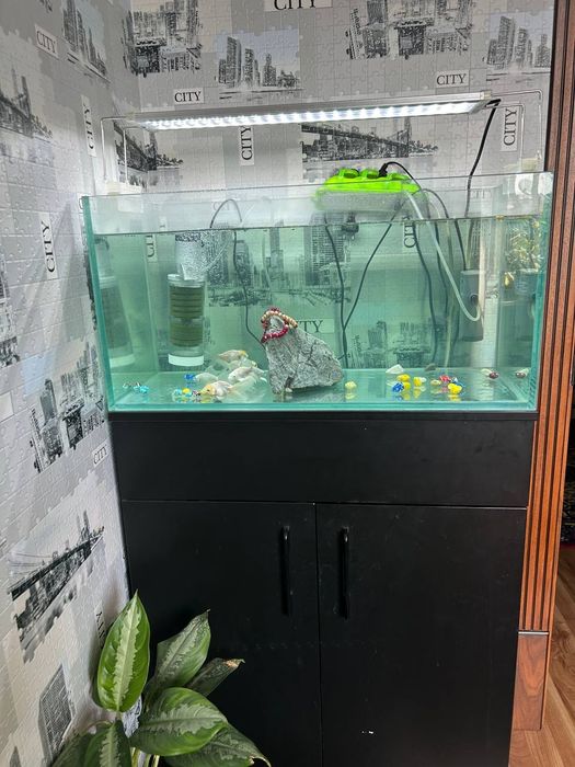 Akvarium sotiladi
