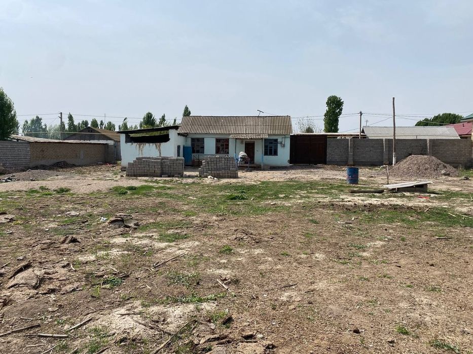 Chorva joyllari mol qoy boqishga