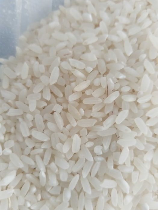 Рис маршалл оптом