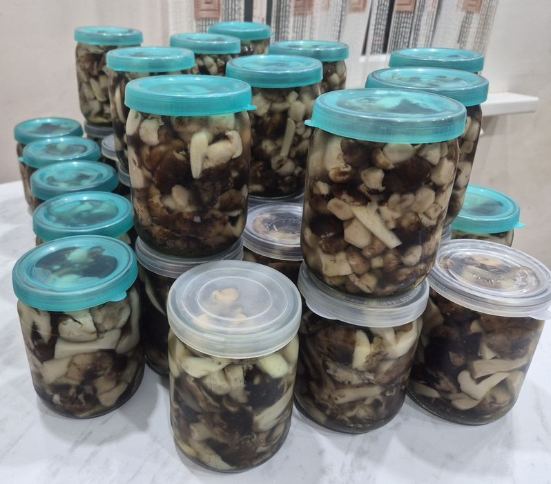 На продажу грибочки Валуи.