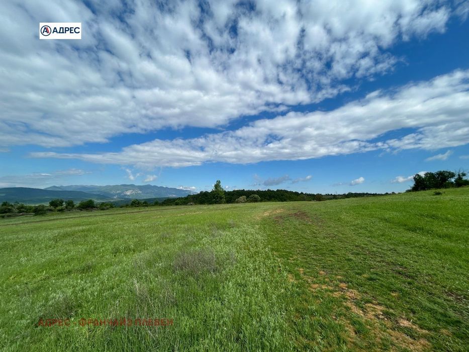 Парцел в Враца, област-с.Типченица площ 39580 цена 310000