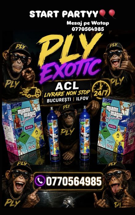 Miami/Magic exoticeee!!!