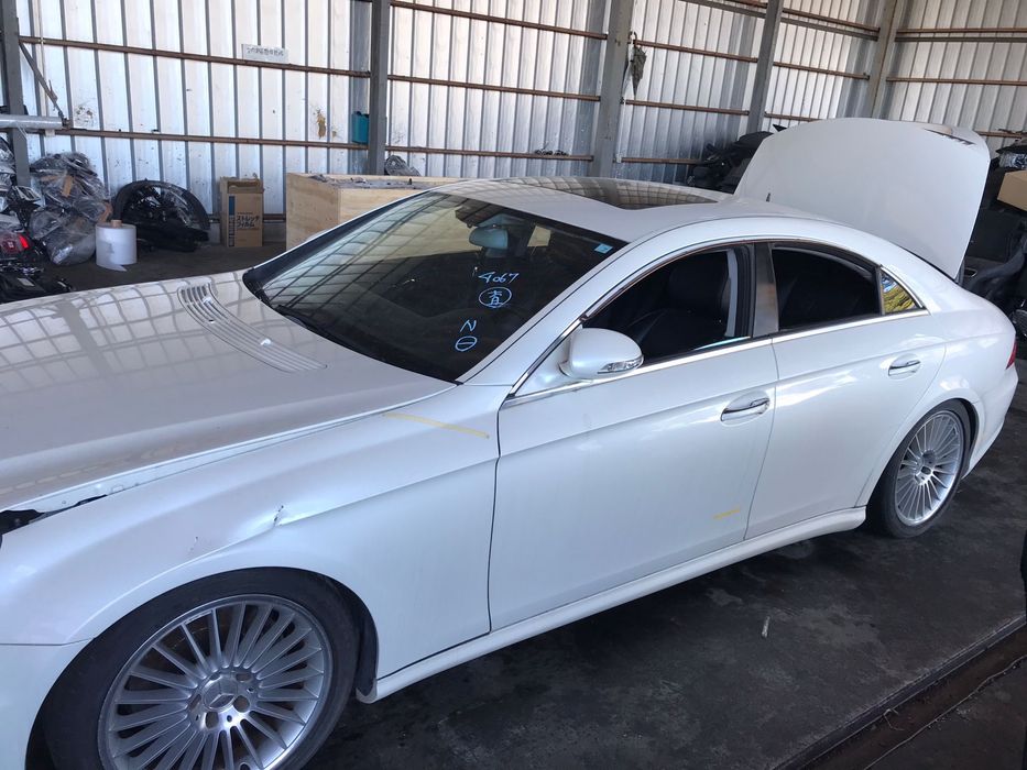 Двери на Мерседес CLS W219