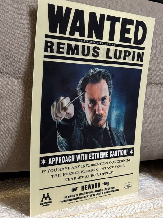 3D постер Гарри Поттер 3 в 1