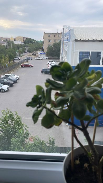 Аренда кваритира долгосрочно