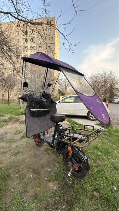 Drongo elektrovelo