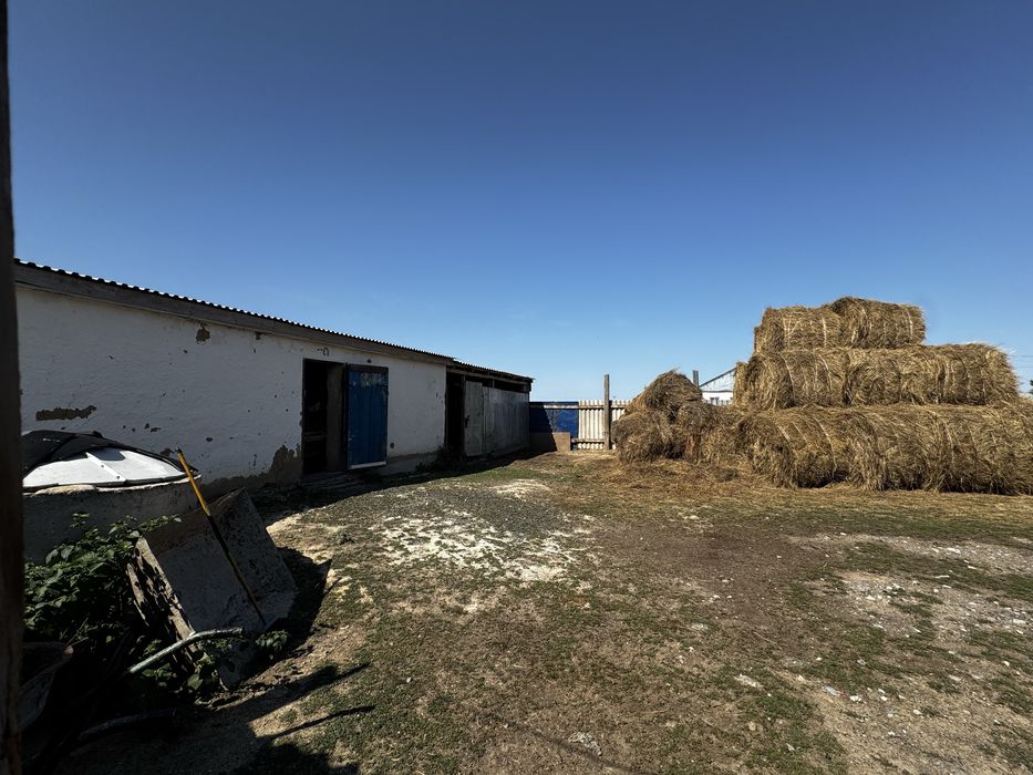 Уй сатылады СРОЧНО!