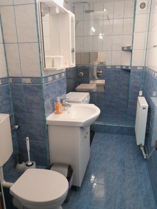 Inchiriez apartament cu o camera Barieră-Catedrală