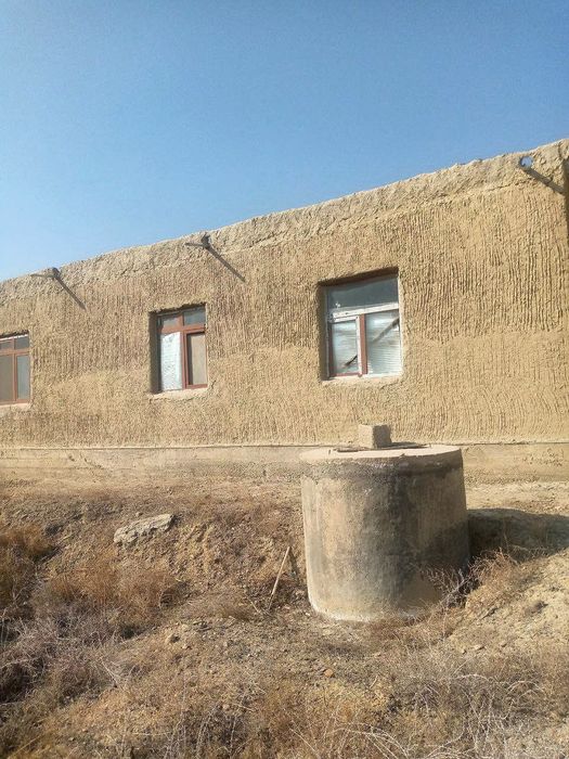 Kotej hovli sotiladi