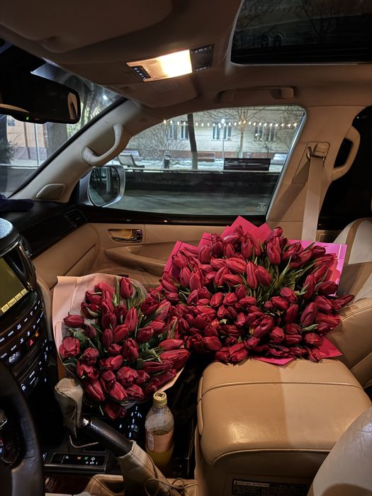 Цветы тюльпан / 101шт , 41шт