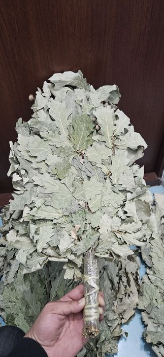Дубовые веники для бани