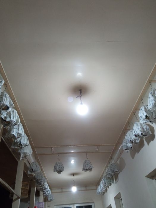 bedana sotiladi sayroqi