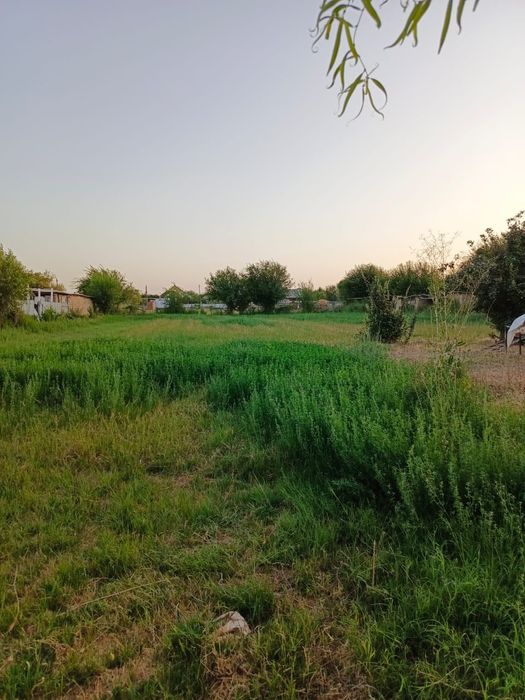 Үй сатылады тез арада  бағасы 10 млн.