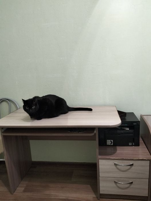 Стол компьютерный