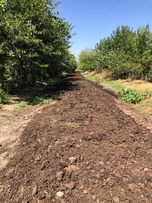 Biogomus mahsuloti. Qancha hohlasela shuncha bor.