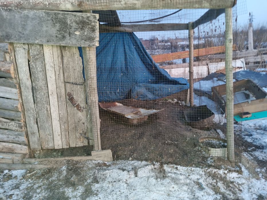 Продам дом на дальней