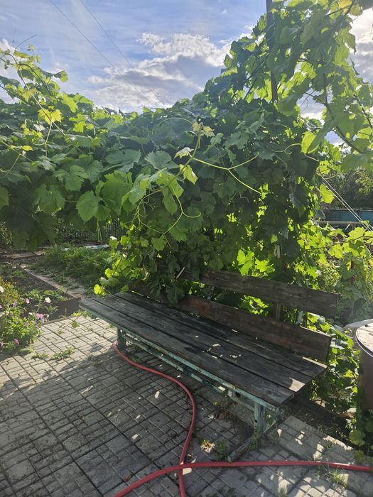 Продам дачу общество Черёмушки