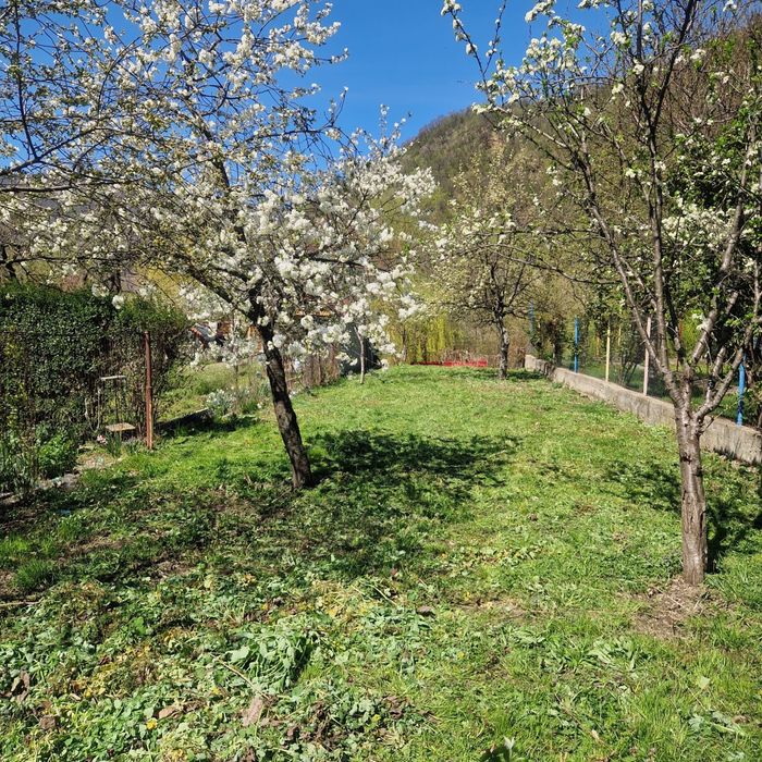 Casa in Baile Herculane strada Pecinisca