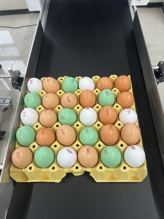 Ручной Маркиратор Дата Сана  QR kod Kartrij Dater siyoh va rastvoritel