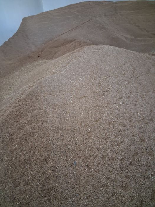 Grâu de vanzare 2025