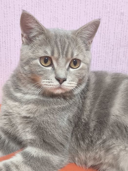 Вязка вязка вязка