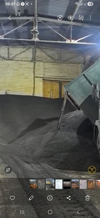 продам семечки хорошого качетство
