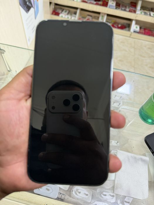 iPhone 13 Pro Max