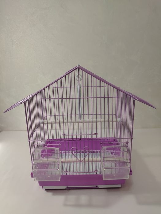 Попугаи. Волнистые