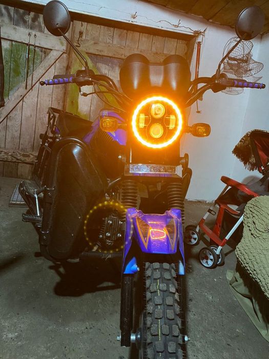 Альфа андес 2024год