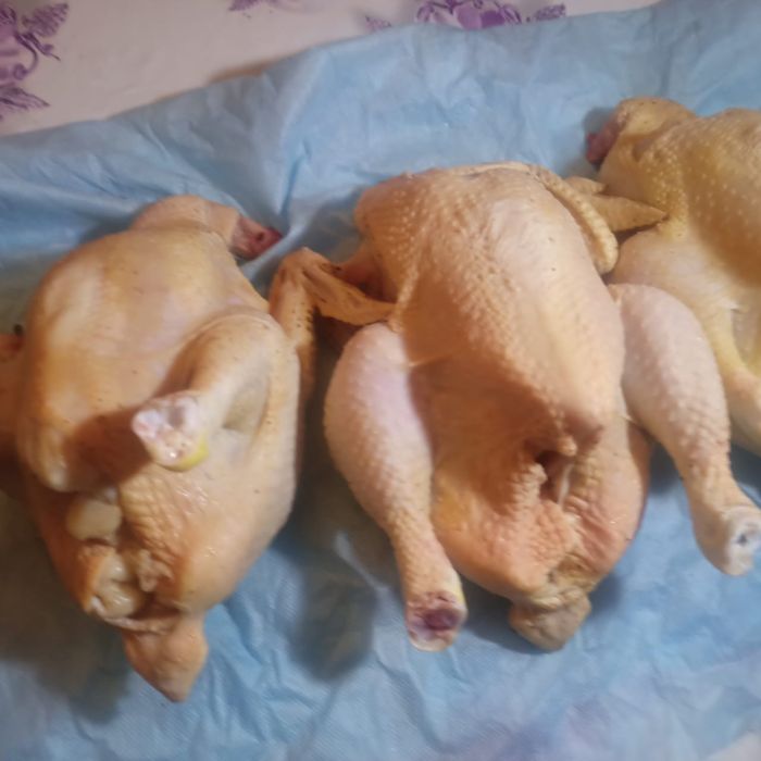 Мясо домашних курочек