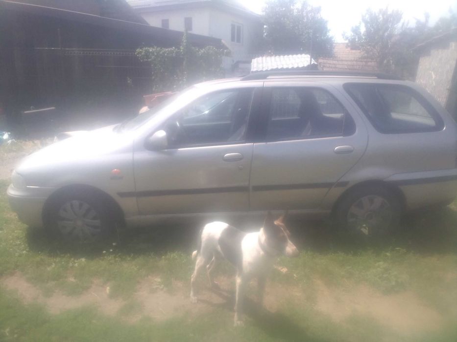 Automobil Fiat Palio Weekend