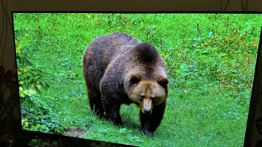 Panasonic TX-48 JZ980E Oled