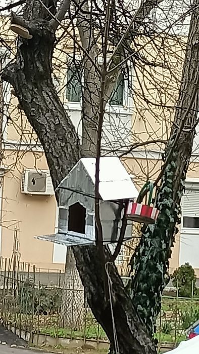 Căsuța Porumbei home made