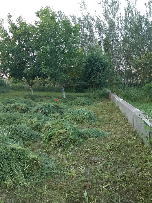 Участок сотилади 7 сотих