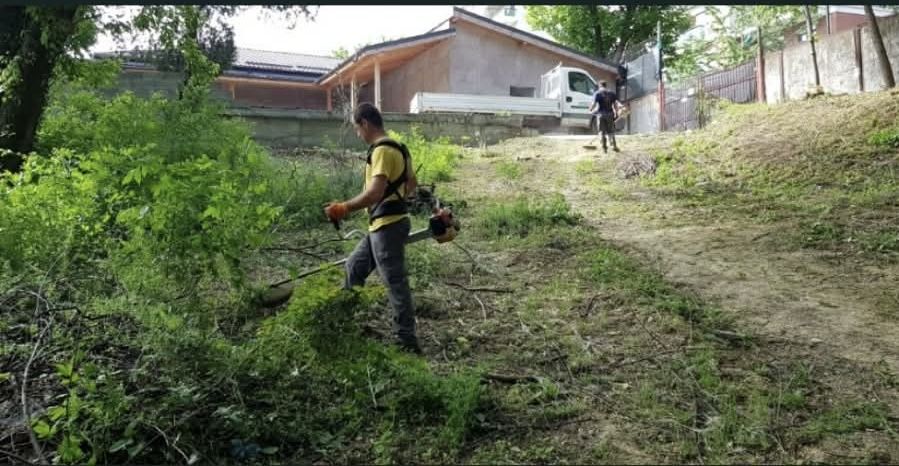 Defrisari terenuri , taiat copaci , curatat terenuri Vrancea