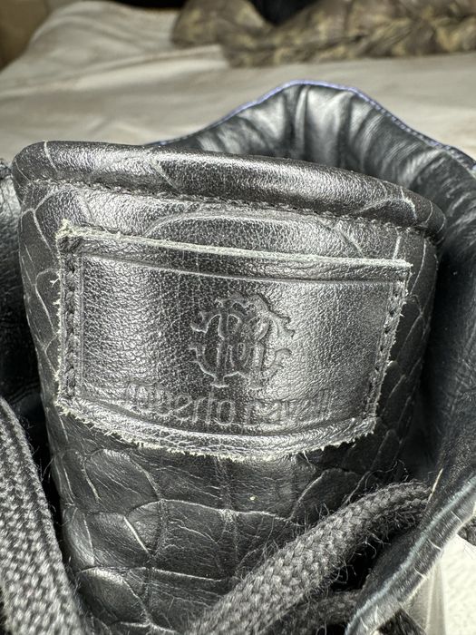 Кецове cavalliii