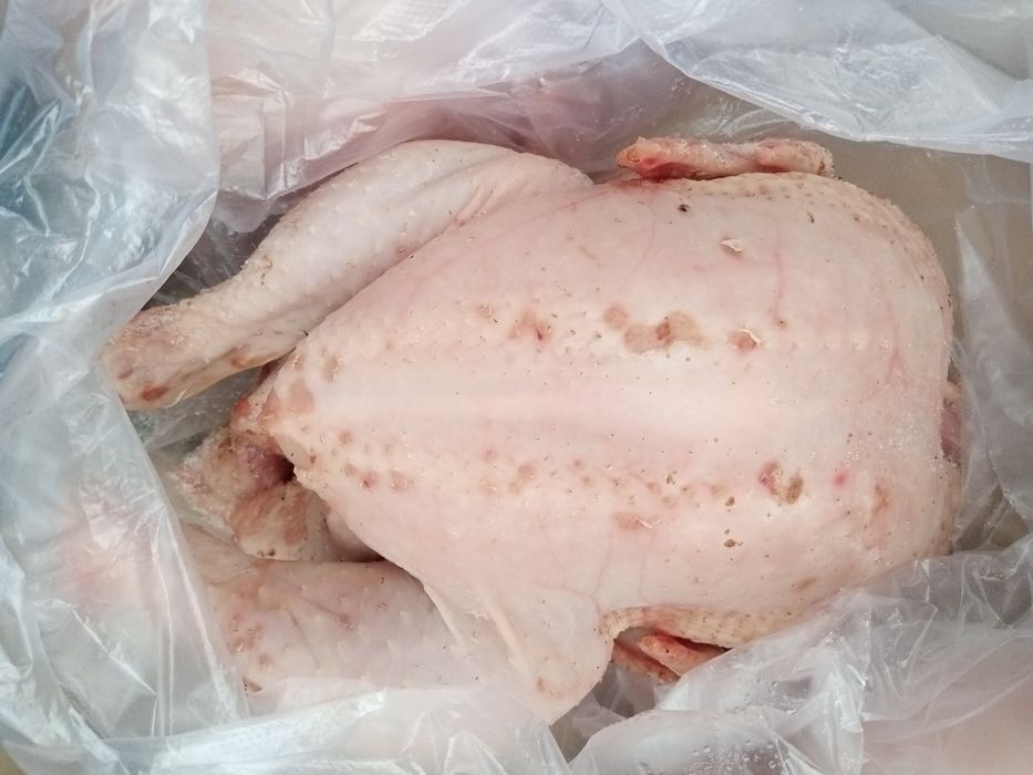 Мясо домашнего бройлера