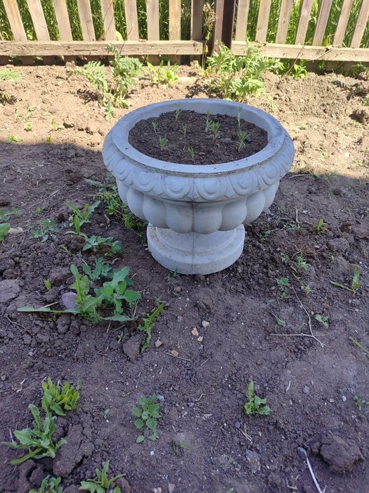 Вазоны из бетона
