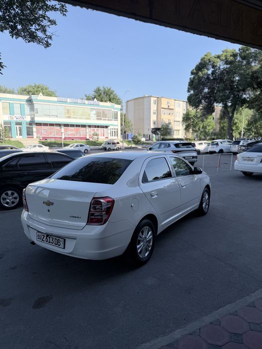 Other Cobalt 2023 — 3