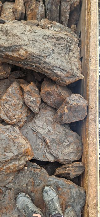 Carbune lignit  și Lemne