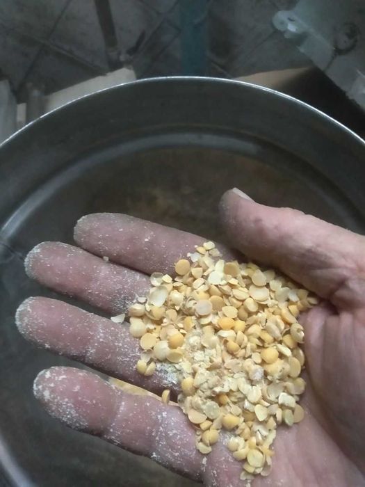 Мясорубка, дробилка кормов, вторсырья и др.