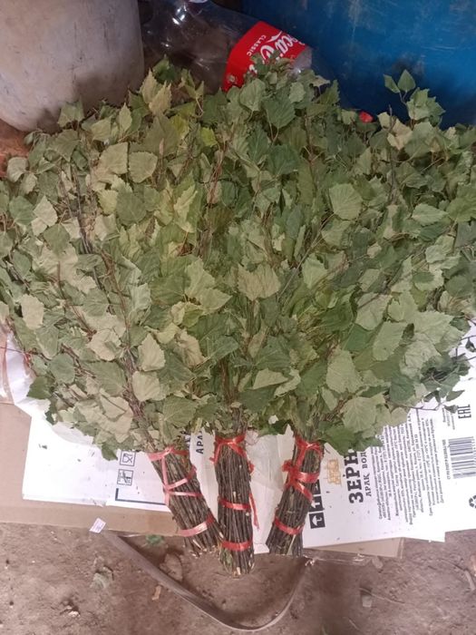Продам банные веники. Береза