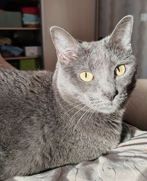 Дарим счастье, тепло, заботу