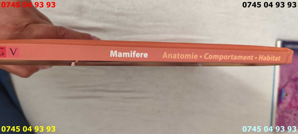 carte carti aventura cunoasterii mamifere cartonata