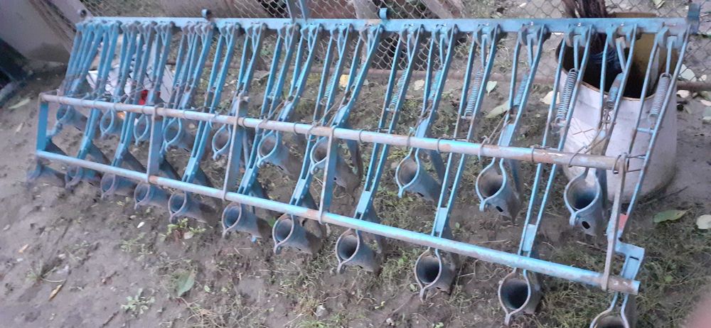 patine semanatoare paioase