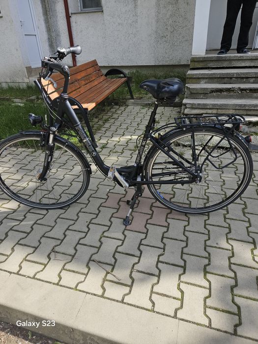 Bicicleta de Dama