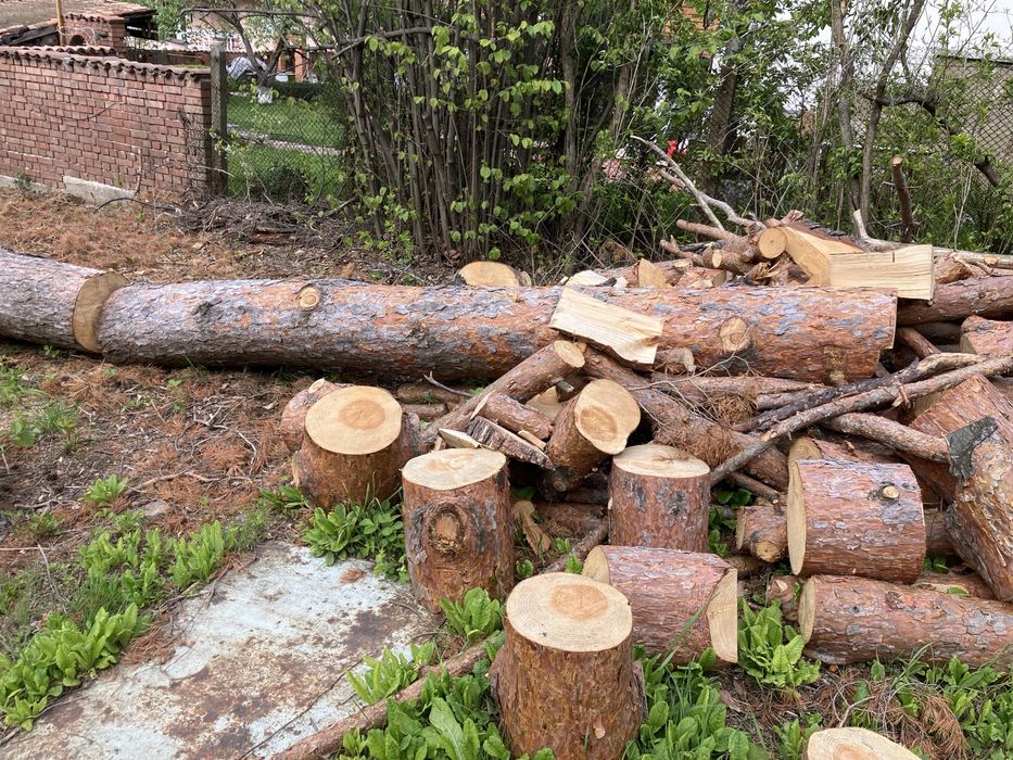 Трупи за дърва за огрев