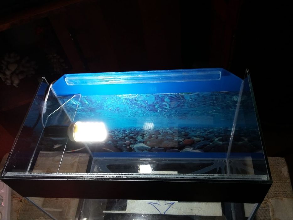 Продам Аквариумы