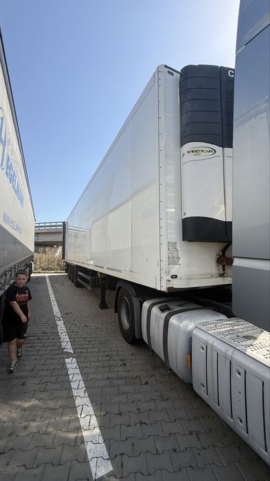 Schmitz frigo 2009